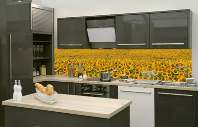 Fototapetes virtuvei ar lamināciju, pašlīmējošas plēve un flizelīns - Saulespuķes  (260x60 cm) Art4home