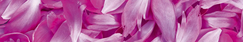 Fototapetes virtuvei ar lamināciju, pašlīmējošas plēve un flizelīns - Violetās ziedlapiņas (350x60 cm) Art4home