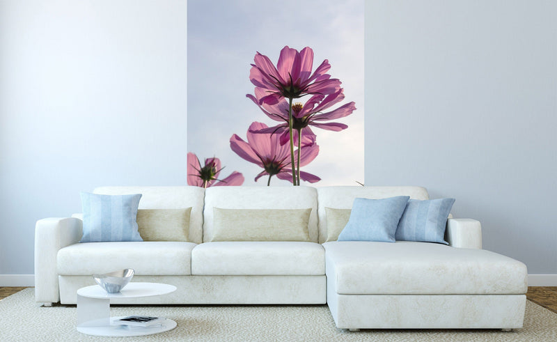 Fototapetes - Ziedi violetas nokrāsās D-ART
