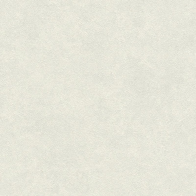 Gaišas vienkrāsainas tapetes ar dabisku faktūru baltā krāsā Tapetenshop.lv
