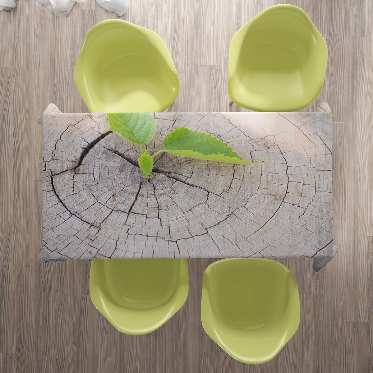 Home Trends
