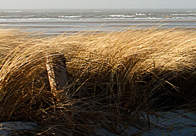Kanva ar jūras skatu - Vientuļā pludmale (5 daļas), 142061 G-ART.