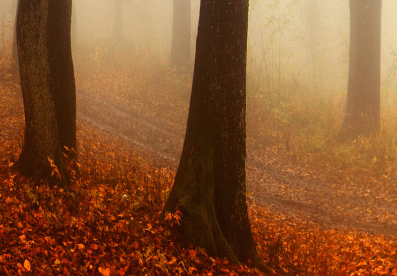 Kanva ar rudens ainavu - Rīta migla (5 daļas, horizontāla) G-ART.