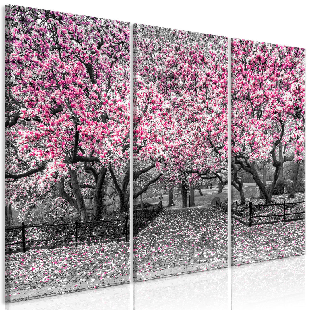 Glezna - Magnolijas parks (x 3) Rozā G-ART