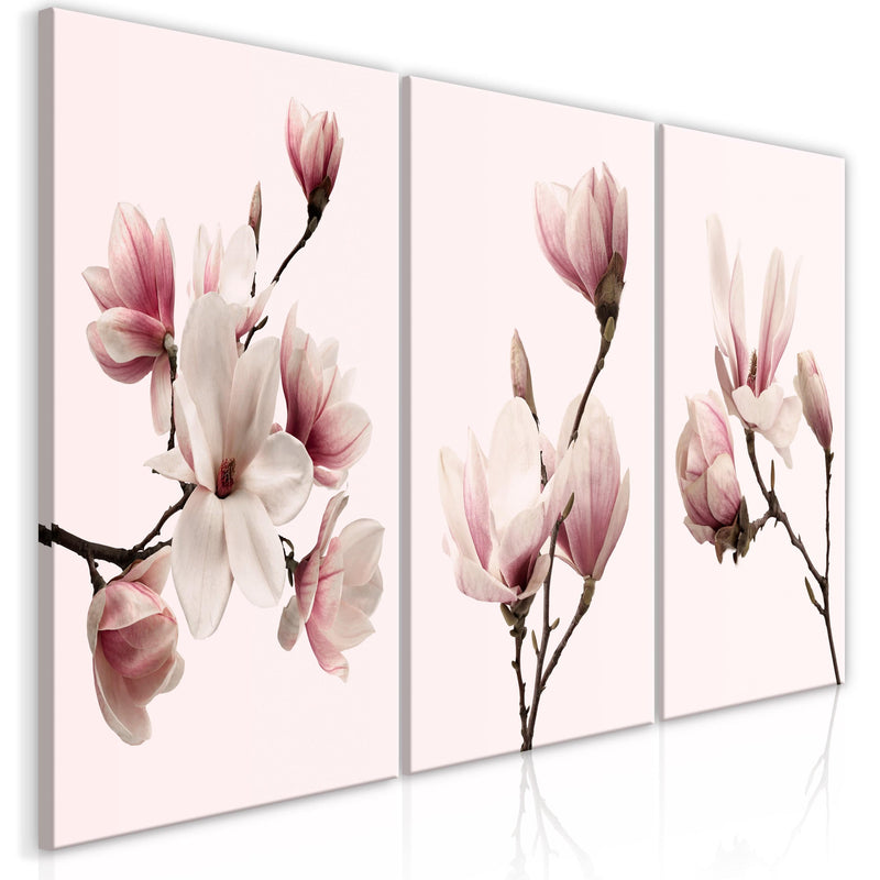 Glezna Pavasara magnolijas (3 daļas) Tapetenshop.lv.