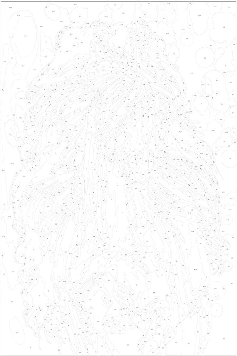 Kanva uz audekla "izkrāso pēc cipariem" - Balts vienradzis 40x60 cm n-A-0321-d-a