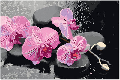Kanva uz audekla "izkrāso pēc cipariem" - Orhideja ar zen akmeņiem (otrais variants) 60x40 cm n-A-0388-d-a