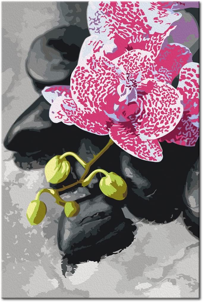 Kanva uz audekla "izkrāso pēc cipariem" - Rozā orhideja 40x60 cm n-A-0243-d-a