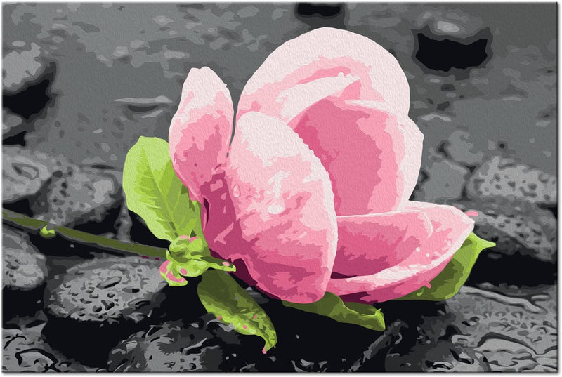 Kanva uz audekla "izkrāso pēc cipariem" - Rozā zieds un akmeņi 60x40 cm n-A-0397-d-a
