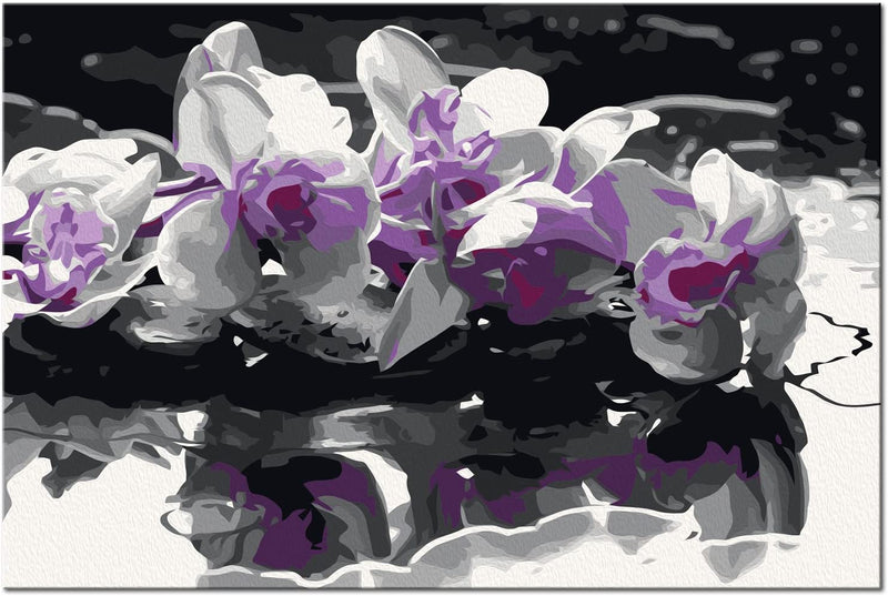 Kanva uz audekla "izkrāso pēc cipariem" - Violetā orhideja 60x40 cm n-A-0369-d-a