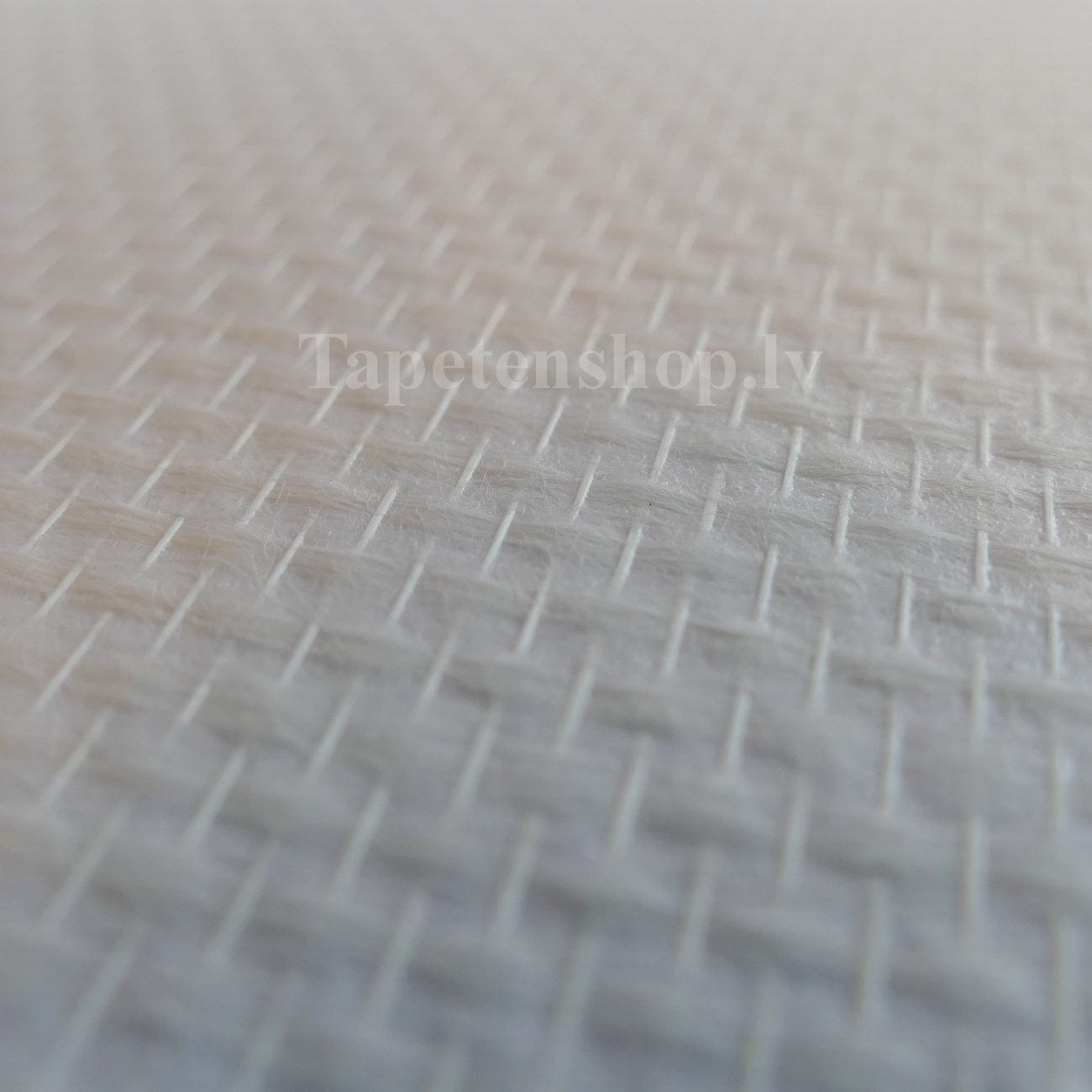 Krāsojamas stikla šķiedras tapetes AS Creation 090321 T 1510 AS Creation