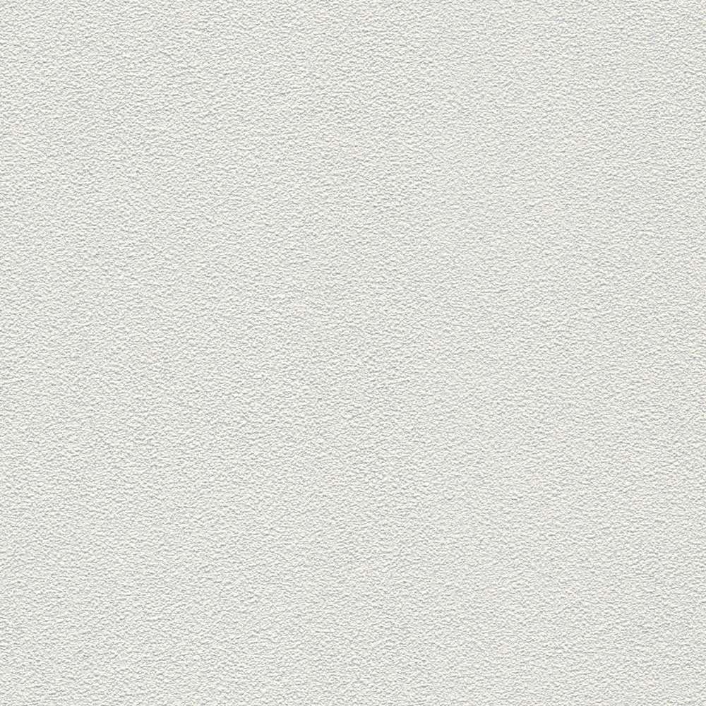 Krāsojamas tapetes griestiem 311016 (0.53x10m) AS Creation