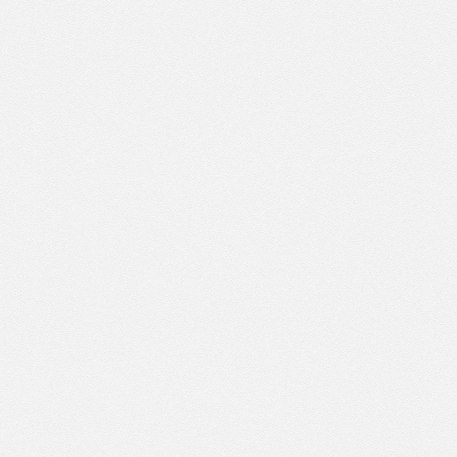 Krāsojamas tapetes ar praktiski gludu virsmu AS 953216 AS Creation