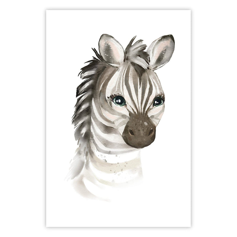 Plakāts Mazā Zebra (ar rāmi) Tapetenshop.lv