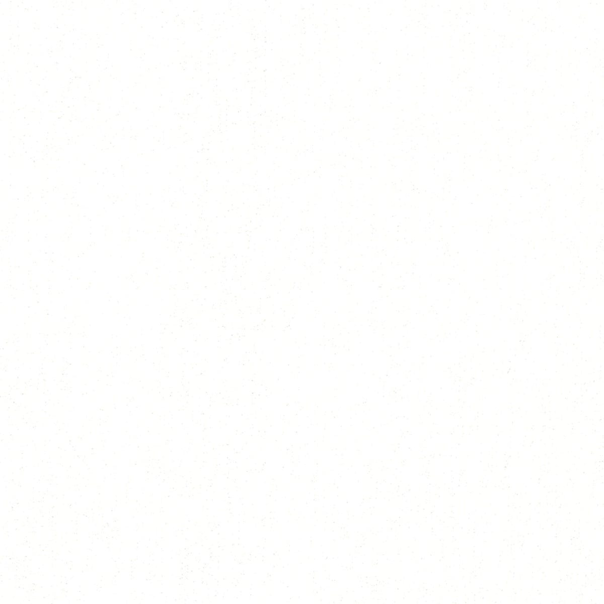 Sniegbaltas vienkrāsainas tapetes ar spīdīgu virsmu - 3702415 Erismann