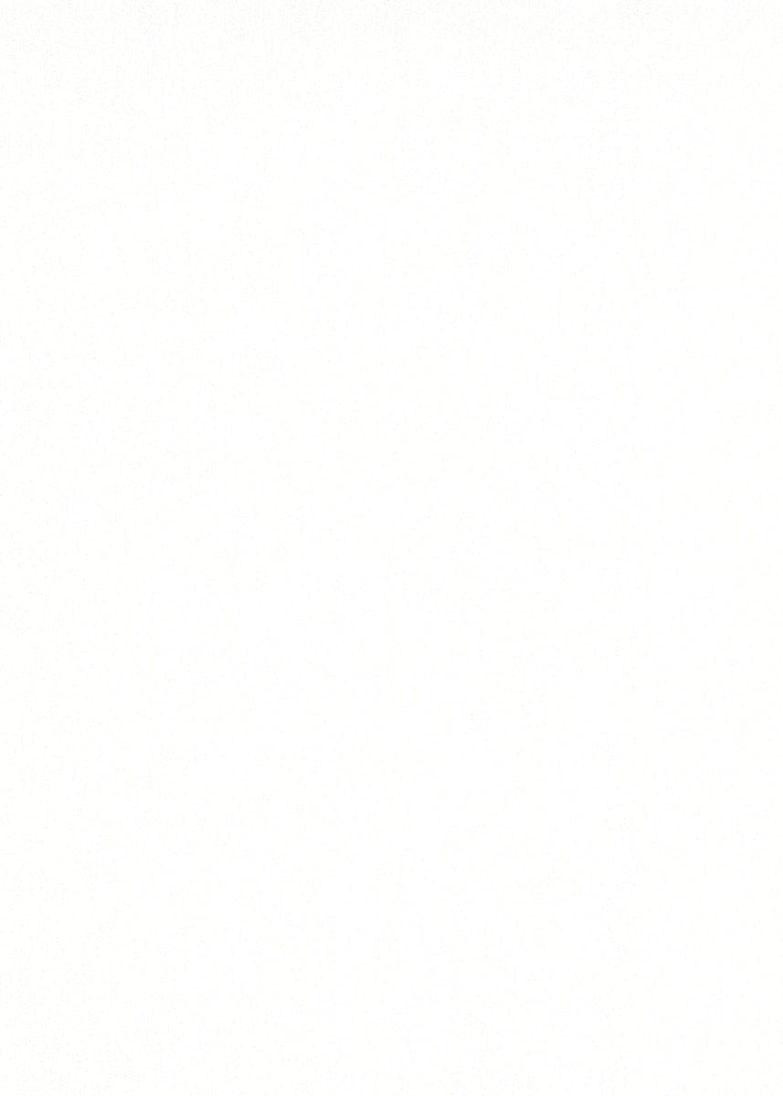 Sniegbaltas vienkrāsainas tapetes ar spīdīgu virsmu - 3702415 Erismann