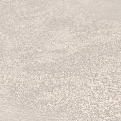 Tapetes ar apmetuma tekstūru, bēšā krāsā AS 378382 Tapetenshop.lv