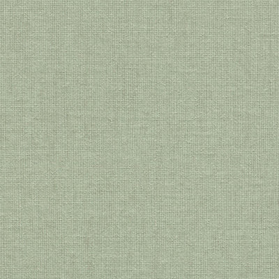 Tapetes ar audumam līdzīgu tekstūru zaļā krāsā, 1662354 RASCH
