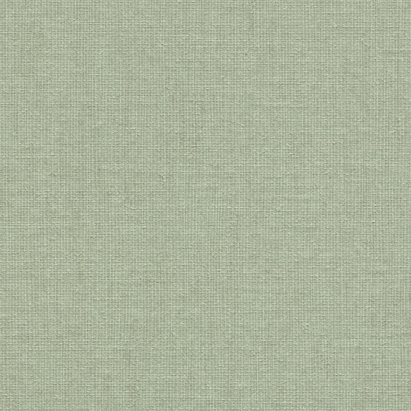 Tapetes ar audumam līdzīgu tekstūru zaļā krāsā, 1662354 RASCH