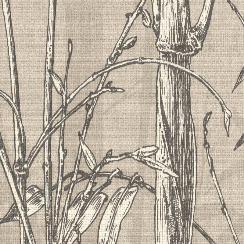 Tapetes ar bambusu bēšos toņos, 1662775 RASCH