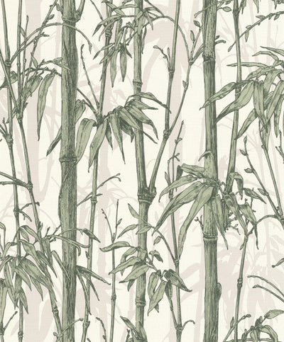 Tapetes ar bambusu zaļā krāsā uz gaiša pamata, 1662757 RASCH