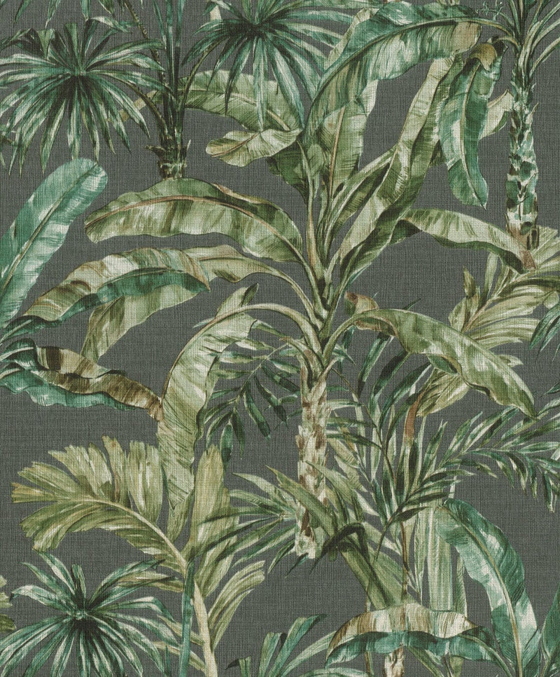 Tapetes ar banānu lapām un palmām tumši zaļā krāsā, 1663627 RASCH