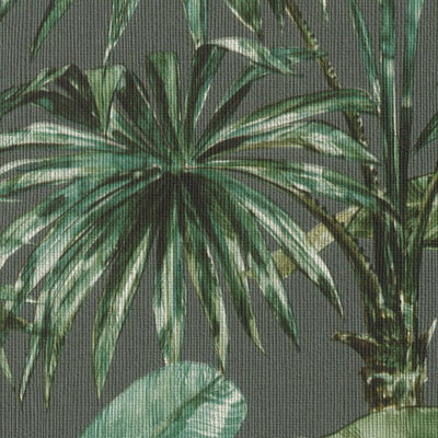 Tapetes ar banānu lapām un palmām tumši zaļā krāsā, 1663627 RASCH