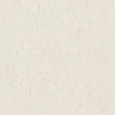 Tapetes ar dekoratīva apmetuma imitāciju gaiši pelēkā krāsā, 1217121 AS Creation