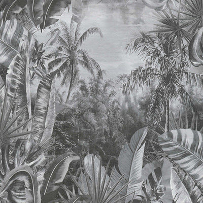 Tapetes ar džungļiem un palmām tumši pelēkā krāsā, 1355114 AS Creation