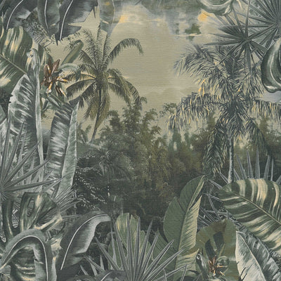Tapetes ar džungļiem un palmām tumši zaļā krāsā, 1355113 AS Creation