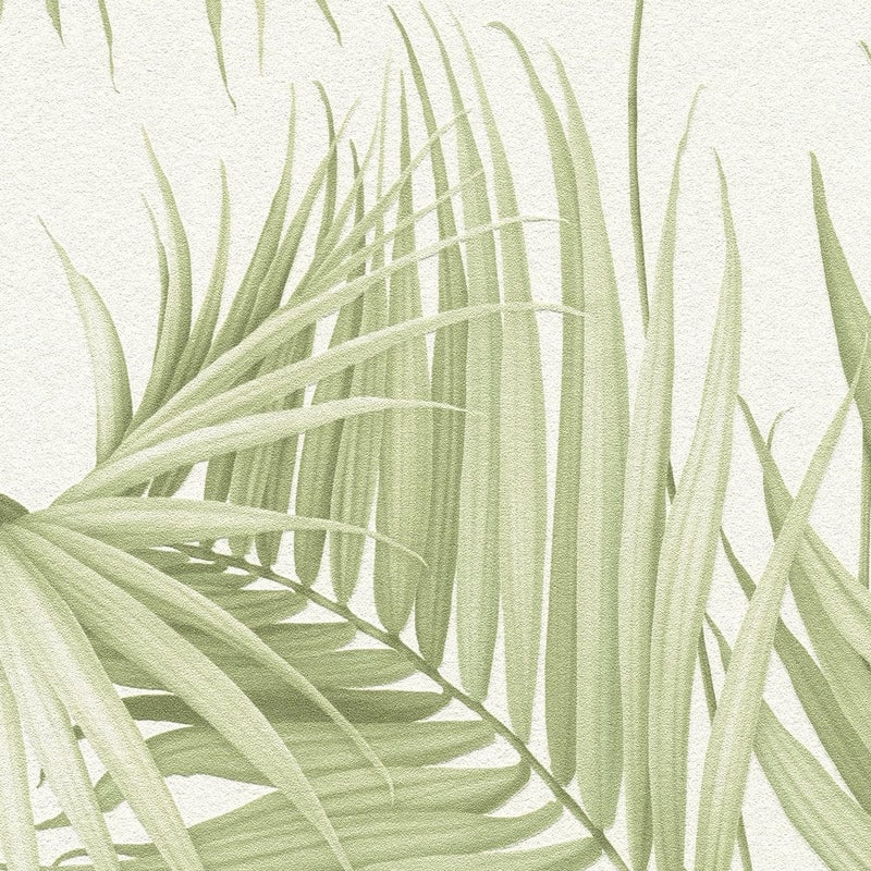 Tapetes ar eksotiskām papardes lapām - zaļa, balta AS Creation