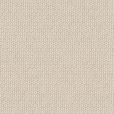 Tapetes ar pinuma rakstu, rotangpalmas izskats, brūnā krāsā, 1362377 AS Creation