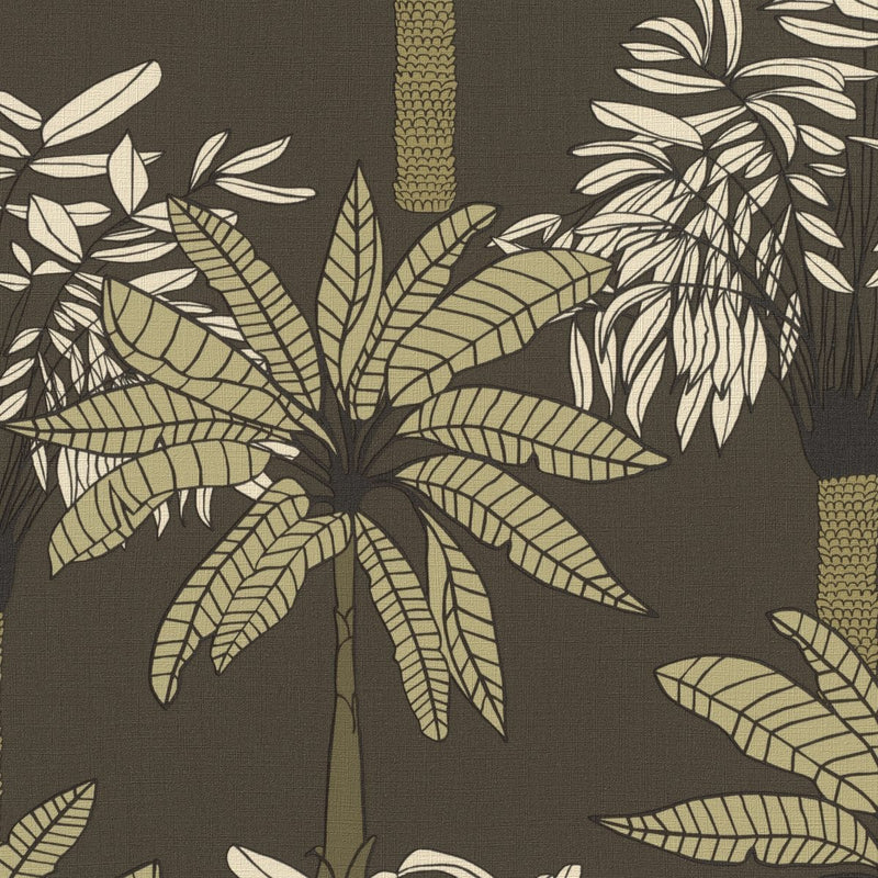 Tapetes ar tropiskām palmām brūnā krāsā, RASCH 2032360 RASCH