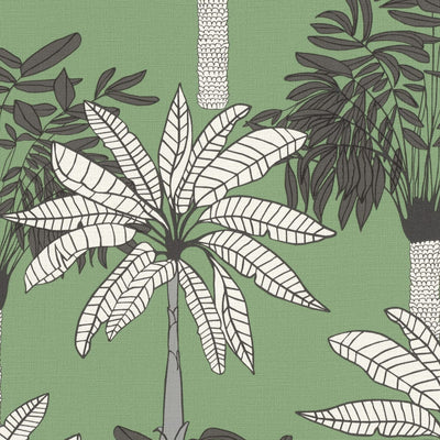 Tapetes ar tropiskām palmām zaļā krāsā, RASCH 2032351 RASCH