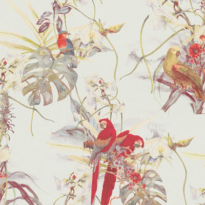 Tapetes ar tropisko dizainu, papagailis un eksotiskie ziedi, 1364263 AS Creation