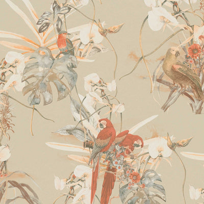 Tapetes ar tropisko dizainu, papagailis un eksotiskie ziedi, bēšās, 1364264 AS Creation