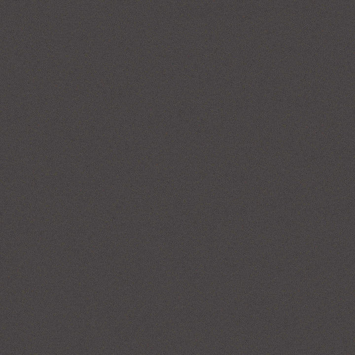 Vienkrāsainas matētas tapetes  melnā krāsā AS 368993 AS Creation