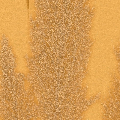 Tapetes Pampa zāles raksts, dzeltenā krāsā, 1362411 AS Creation