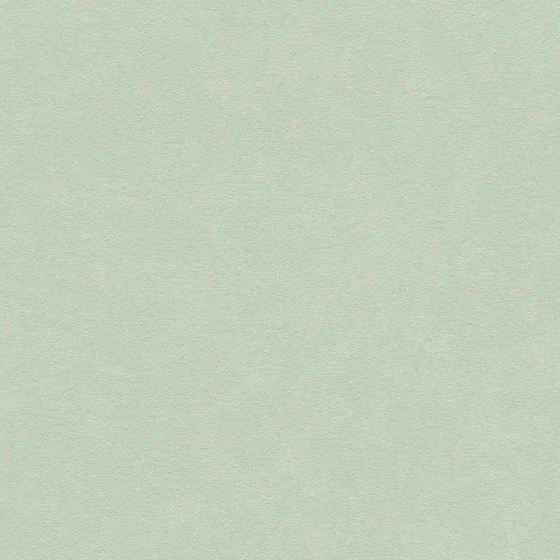 Vienkrāsainas tapetes zaļā krāsā, 1334466 AS Creation